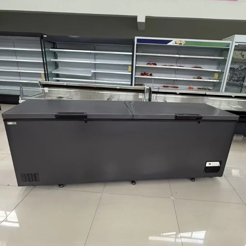 Commercial Double Door Horizon - Commercial Chest Freezer ulasan dan harga